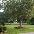 Château Hôtel du Colombier - Gallery